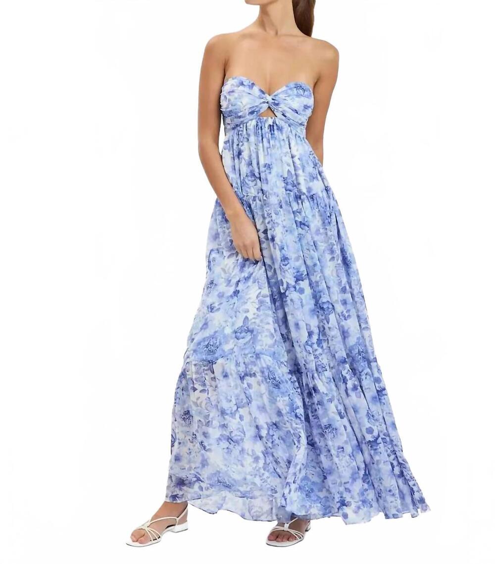 NEW SKY TO MOON peony breeze open back floral maxi dress in blue